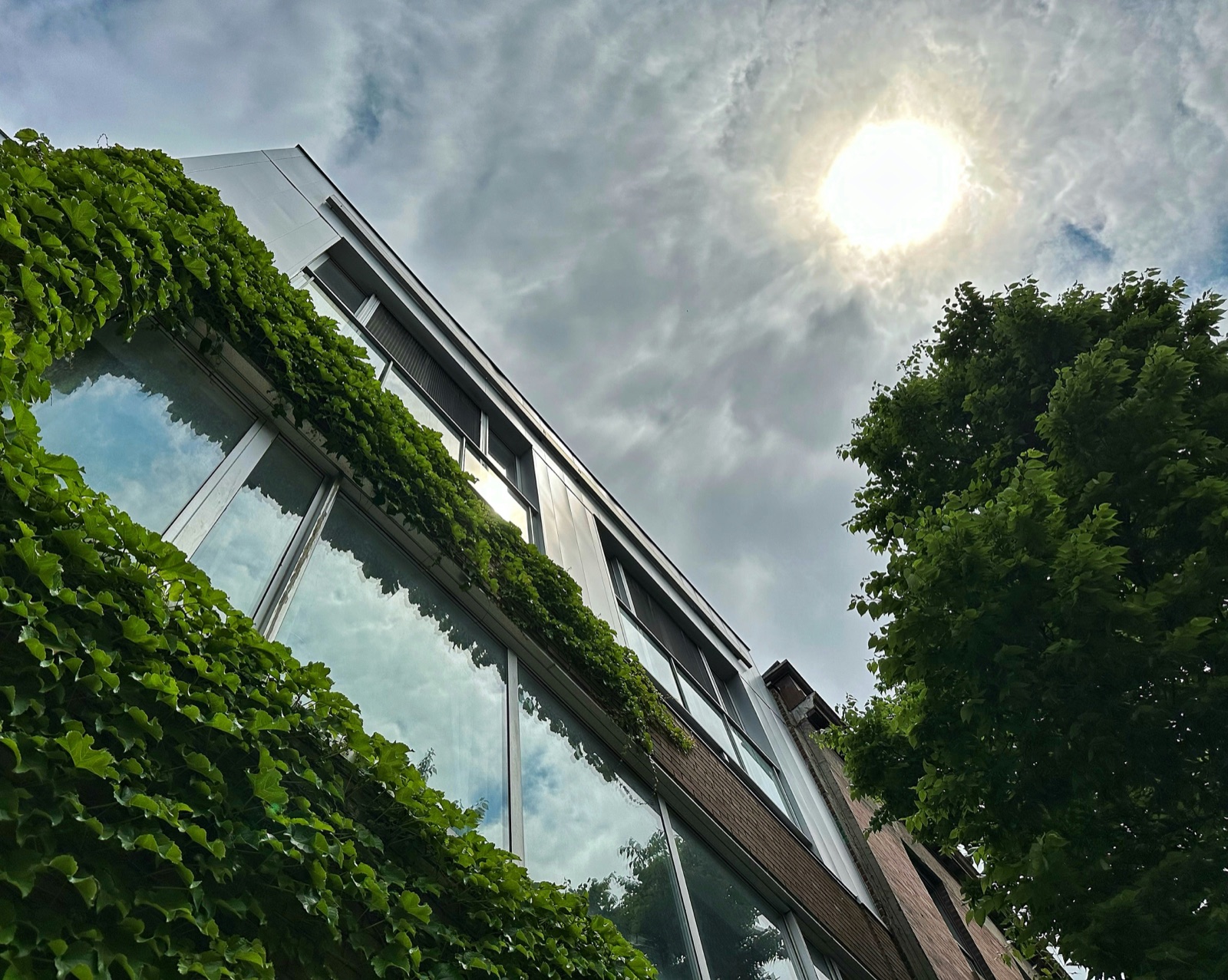 Heat inequity in Sacramento: low-canopy, high-pavement neighborhoods experience significantly higher temperatures than more affluent areas